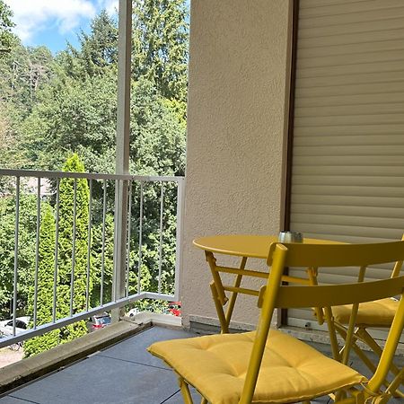 Ferienwohnung Buehler-Kurparkresidenz 巴特贝格匝本 外观 照片