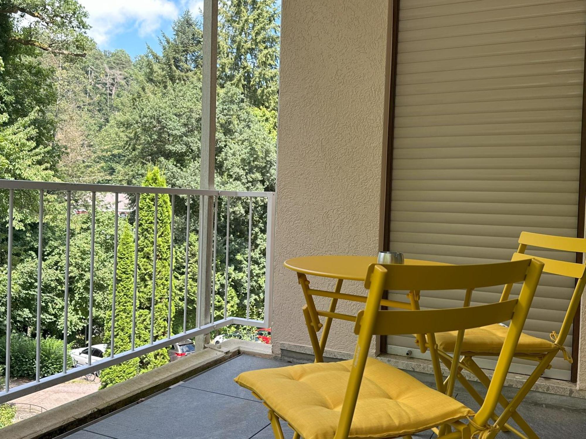 Ferienwohnung Buehler-Kurparkresidenz 巴特贝格匝本 外观 照片